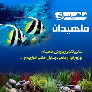 ماهی سرای ماهیدان