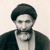 سید هاشم میردامادی نجف آبادی